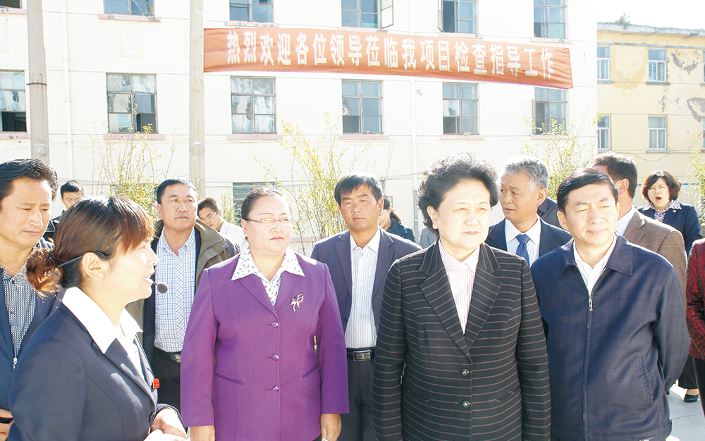 时任中央政治局委员，，，，，，，国务院副总理、党组成员刘延东视察湖北EVO视讯集团青海项目部
